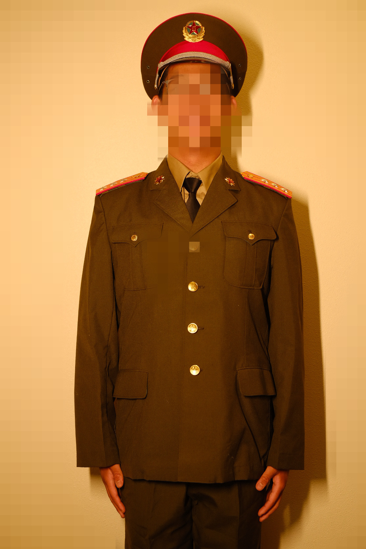 Type 87 military badge system